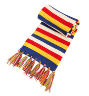 narrenwelt Mainz - Schal  ca. 145 cm Länge Fasching Farbenspiel Mainz-Fans Accessoires