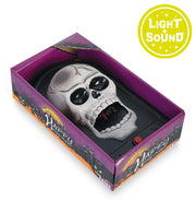 narrenwelt Türglocke Halloween Light & Sound Horror – Der gruselige Willkommensgruß für Ihre Gäste Horror Hexe Zombie Dracula Scherzartikel