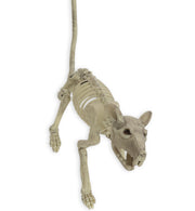 narrenwelt Deko Skelett Ratte  32 cm Halloween - Dekoration Gruselspaß