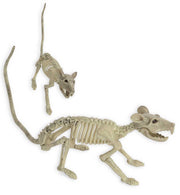 narrenwelt Deko Skelett Ratte  32 cm Halloween - Dekoration Gruselspaß