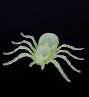 narrenwelt Deko Spinne nachtleuchtend Horror Spinne 10x7 cm GID Halloween Karneval Party