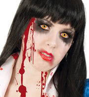 narrenwelt Funlinsen 