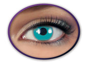 narrenwelt Funlinsen 