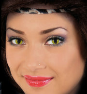 narrenwelt Funlinsen 