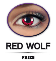 narrenwelt Funlinsen 