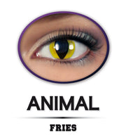 narrenwelt Funlinsen 